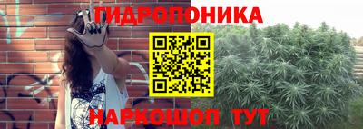 mix Кунгур