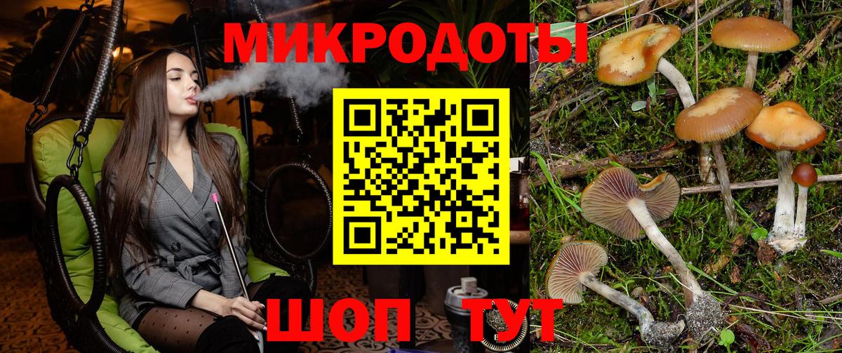 Псилоцибиновые грибы мицелий Кировск