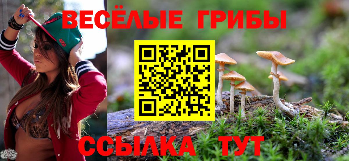 как найти   Галлюциногенные грибы GOLDEN TEACHER  Кировск  Вход с VPN  Псилоцибиновые грибы GOLDEN TEACHER 